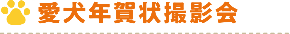 愛犬年賀状撮影会
