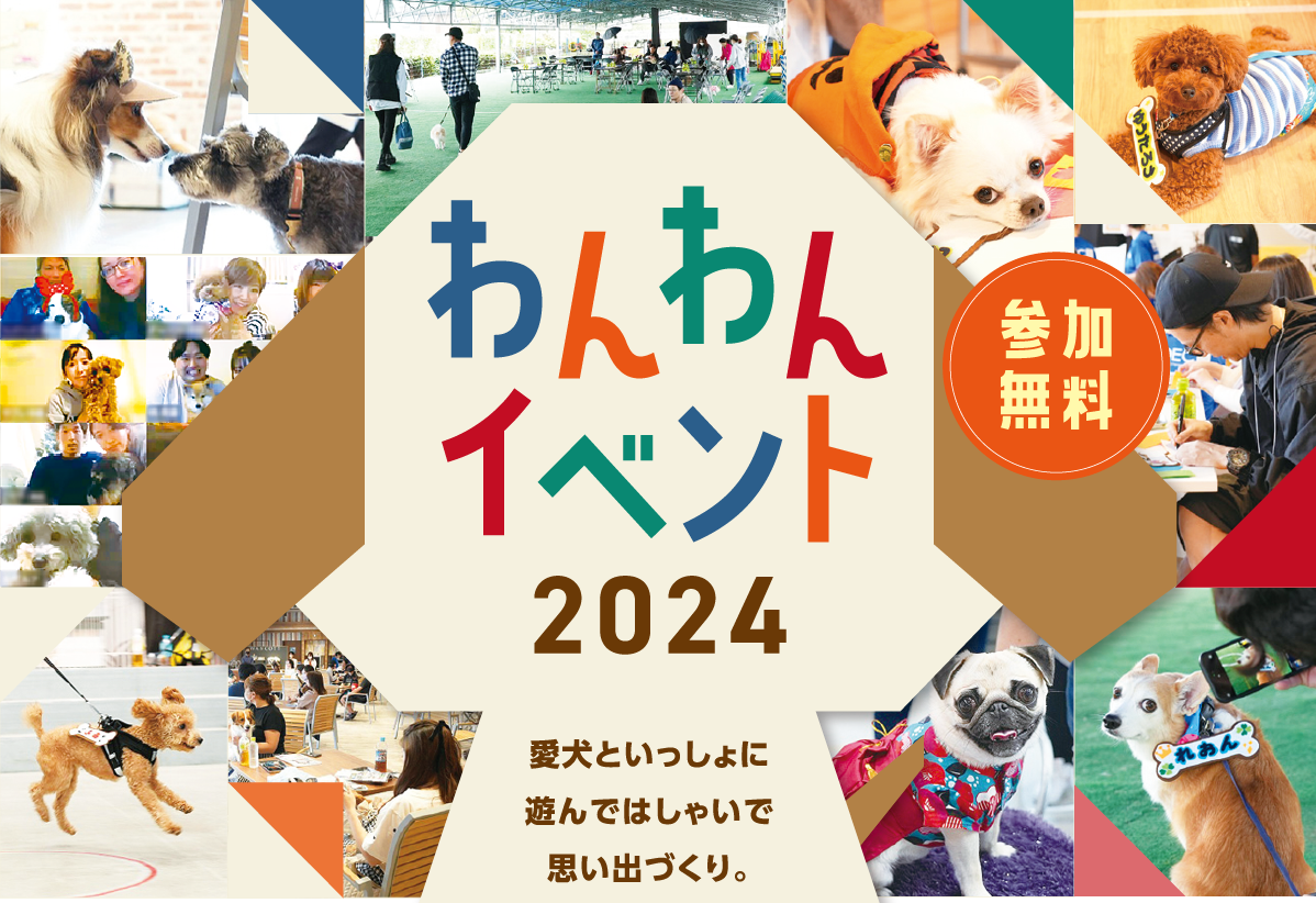 愛犬といっしょに遊んではしゃいで思い出づくり。わんわんイベント2024 参加無料