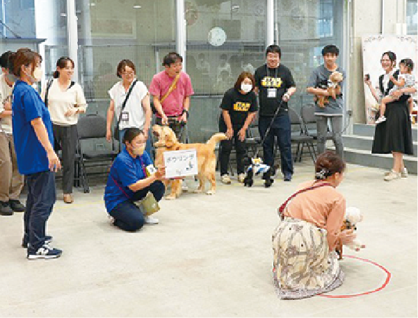 この犬種なーんだ?