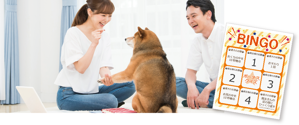 ビンゴゲーム