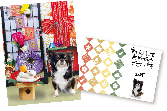 年賀状用オリジナル写真