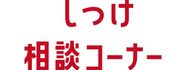 しつけ相談コーナー