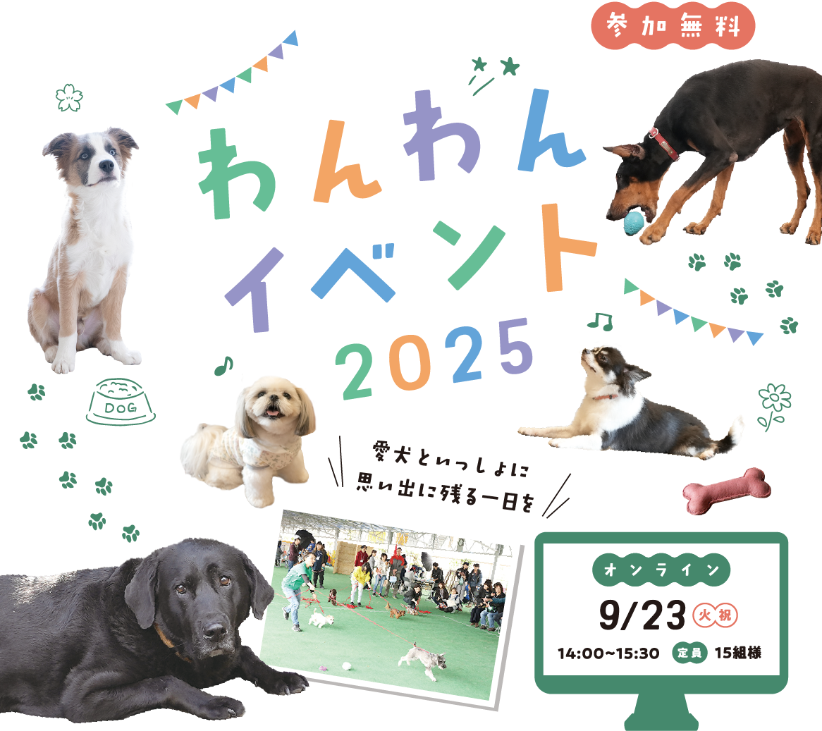 愛犬といっしょに思い出に残る一日を。わんわんイベント2025 参加無料