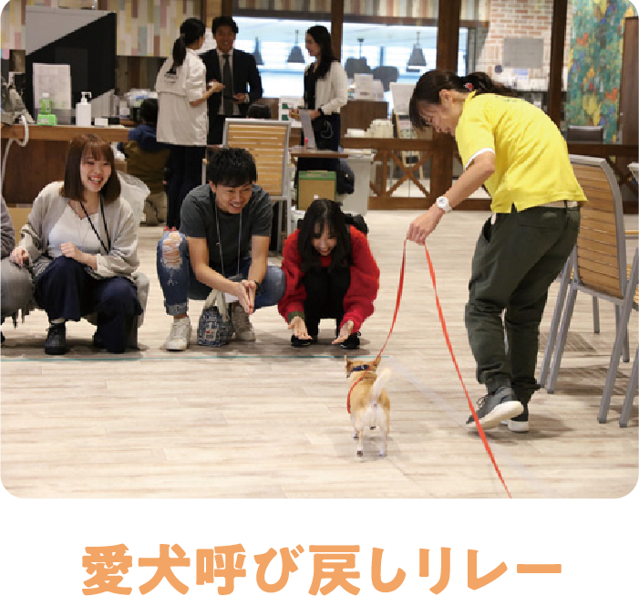 愛犬呼び戻しリレー