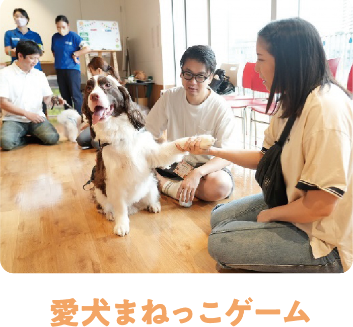 愛犬まねっこゲーム