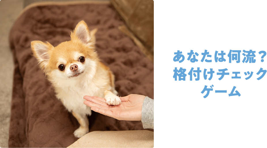 あなたは何流？格付けチェックゲーム