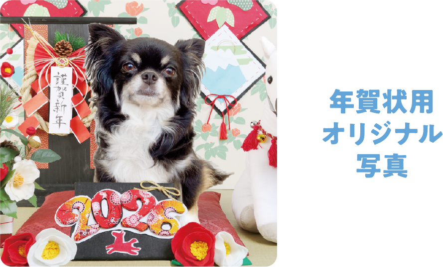 年賀状用オリジナル写真