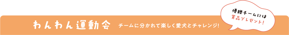 わんわん運動会 チームに分かれて楽しく愛犬とチャレンジ!