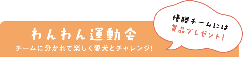 わんわん運動会 チームに分かれて楽しく愛犬とチャレンジ!