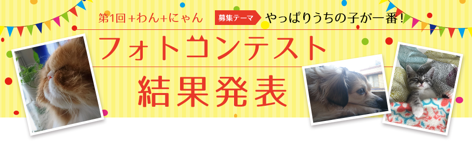 第1回フォトコンテスト結果発表