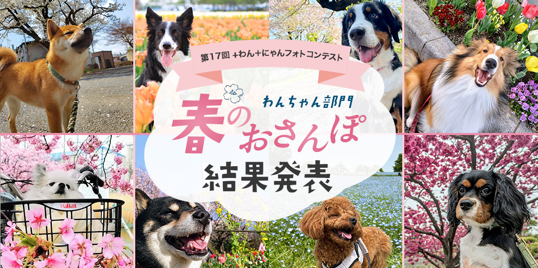 フォトコンテスト結果発表