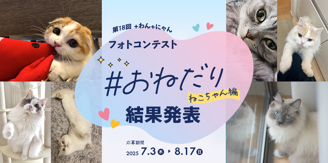 フォトコンテスト結果発表
