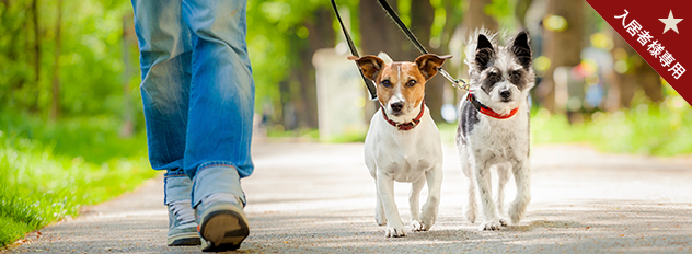 「ペットとお出かけレポート」取材モデル犬 募集中！