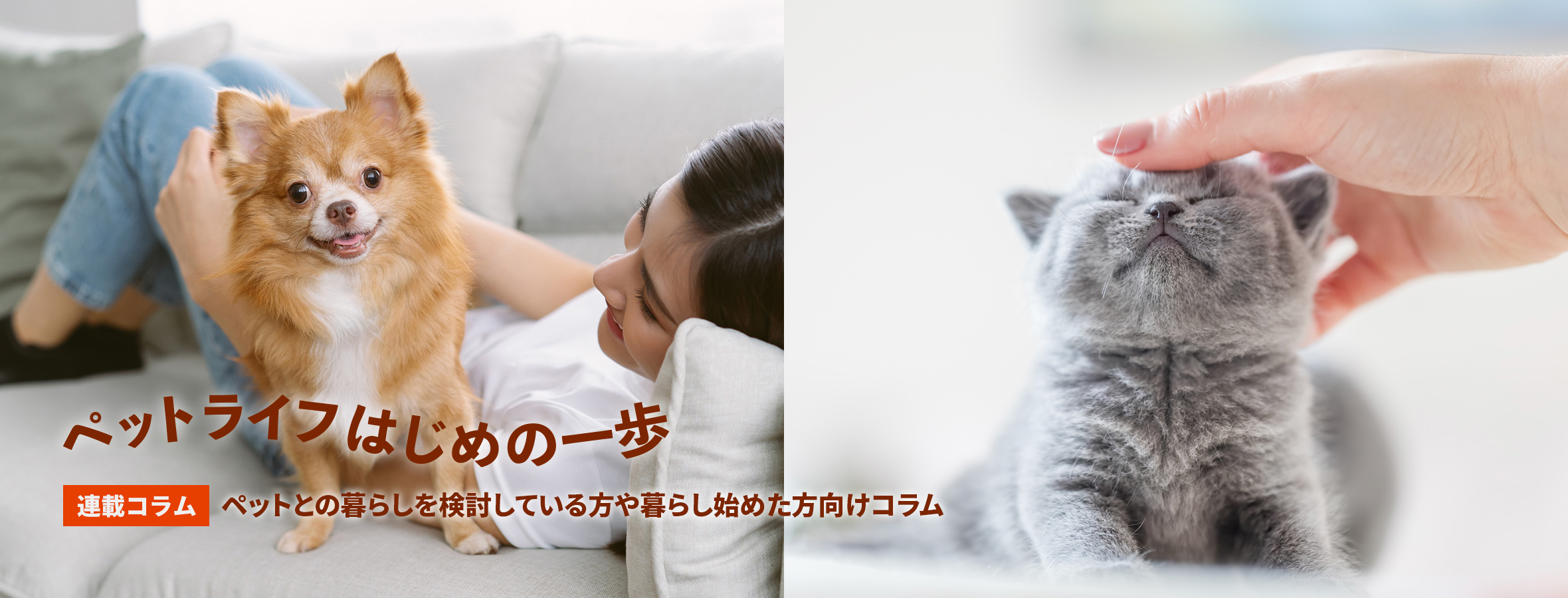 わん+にゃん倶楽部 | ヘーベルメゾン ペット共生型賃貸住宅